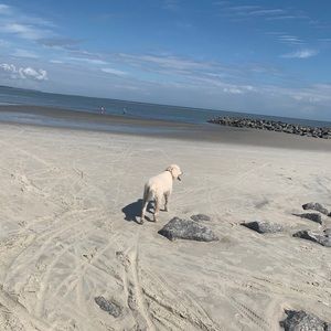 Meet your Posher, Jayne